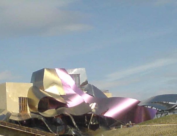 hacer ruta de vino por La Rioja con Guias Artea